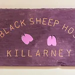The Black Sheep キラーニー