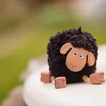 The Black Sheep