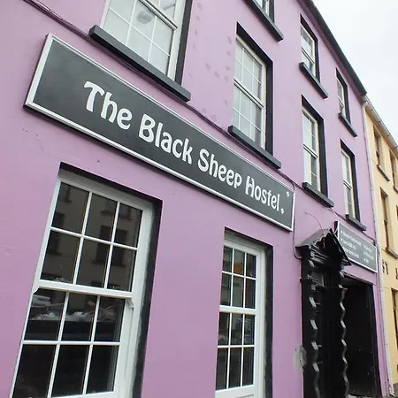 The Black Sheep