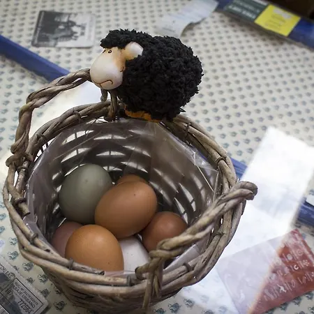 Hostel The Black Sheep Killarney