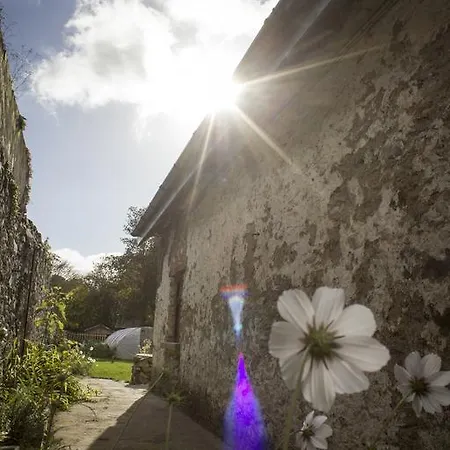 بيت شباب The Black Sheep