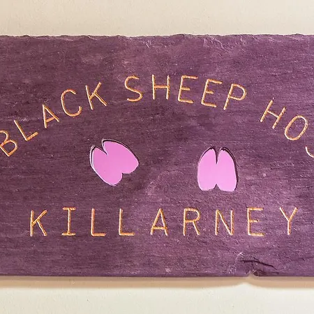 The Black Sheep Килларни