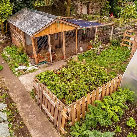 Hostel The Black Sheep