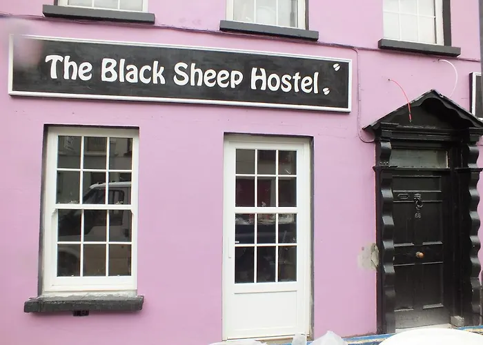 The Black Sheep Vandrerhjem Killarney