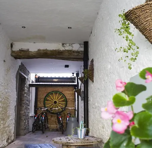 The Black Sheep Killarney