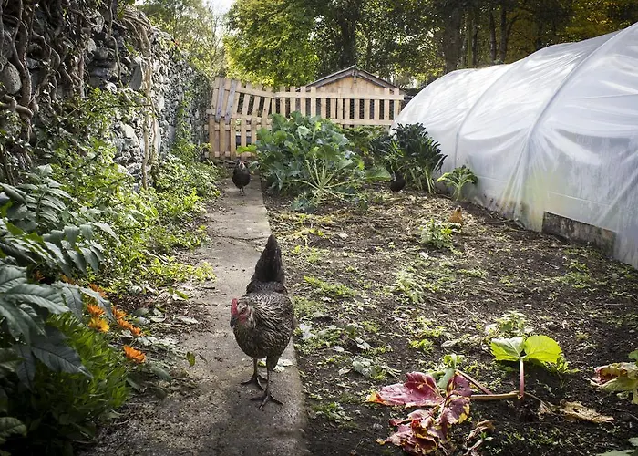 Vandrerhjem The Black Sheep *