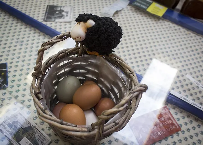 Vandrerhjem The Black Sheep Killarney