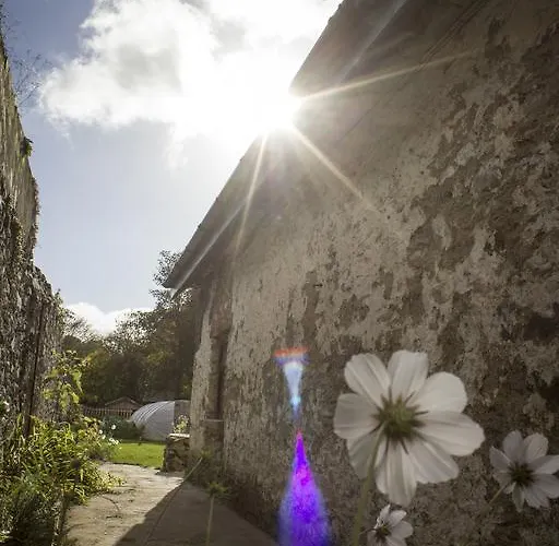 호스텔 The Black Sheep