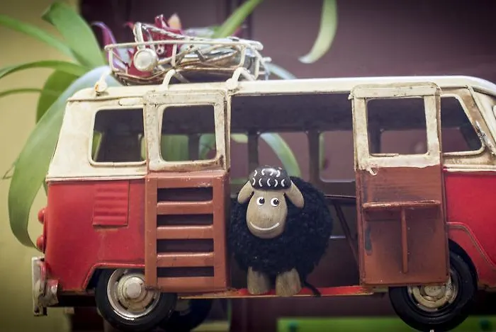 Vandrerhjem The Black Sheep