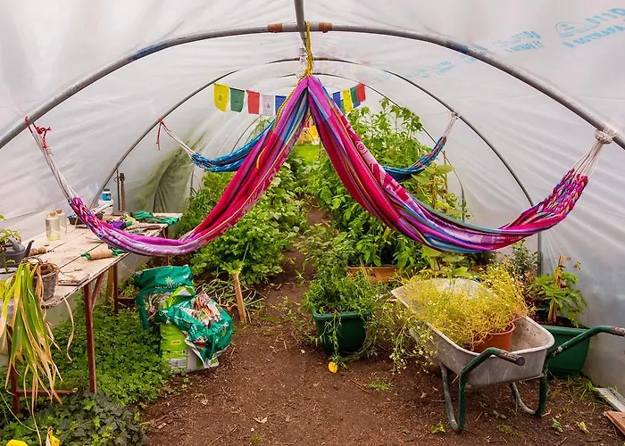 호스텔 The Black Sheep 킬라니