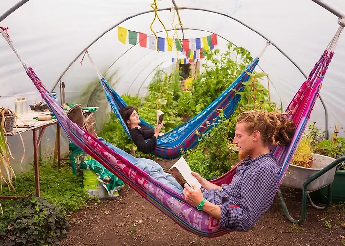 The Black Sheep Killarney