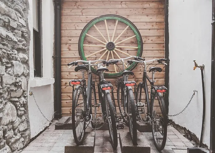 호스텔 The Black Sheep 킬라니