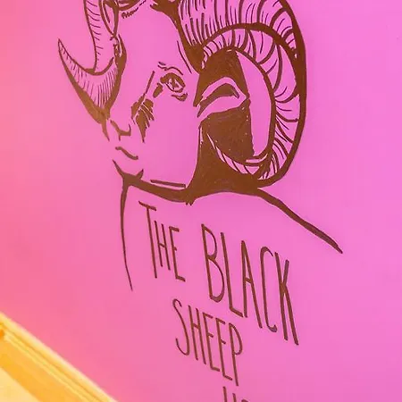 بيت شباب The Black Sheep