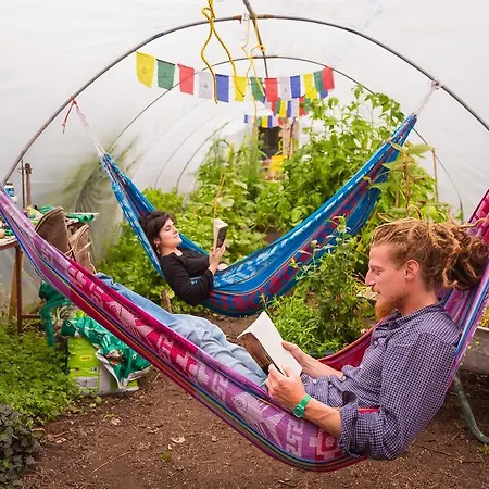 The Black Sheep كيلارني