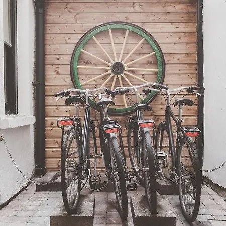 بيت شباب The Black Sheep كيلارني