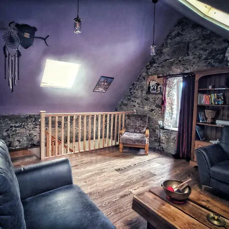 The Black Sheep بيت شباب *