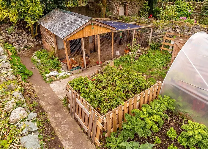 Hostel The Black Sheep